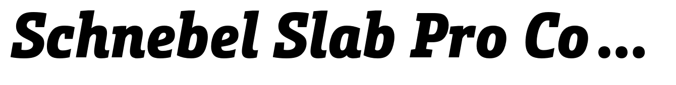 Schnebel Slab Pro Condensed Black Italic